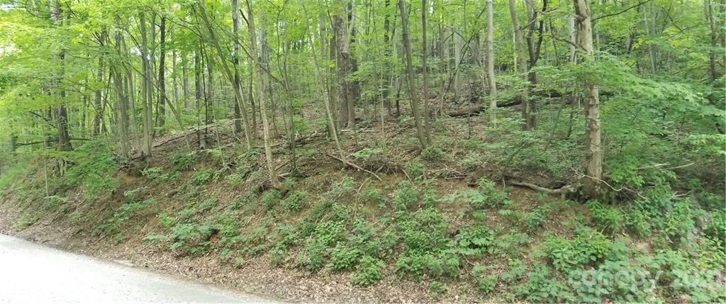 341 Melrose Mountain Road Tryon, NC 28782 - Photo 22 of 36 a view of a lush green forest