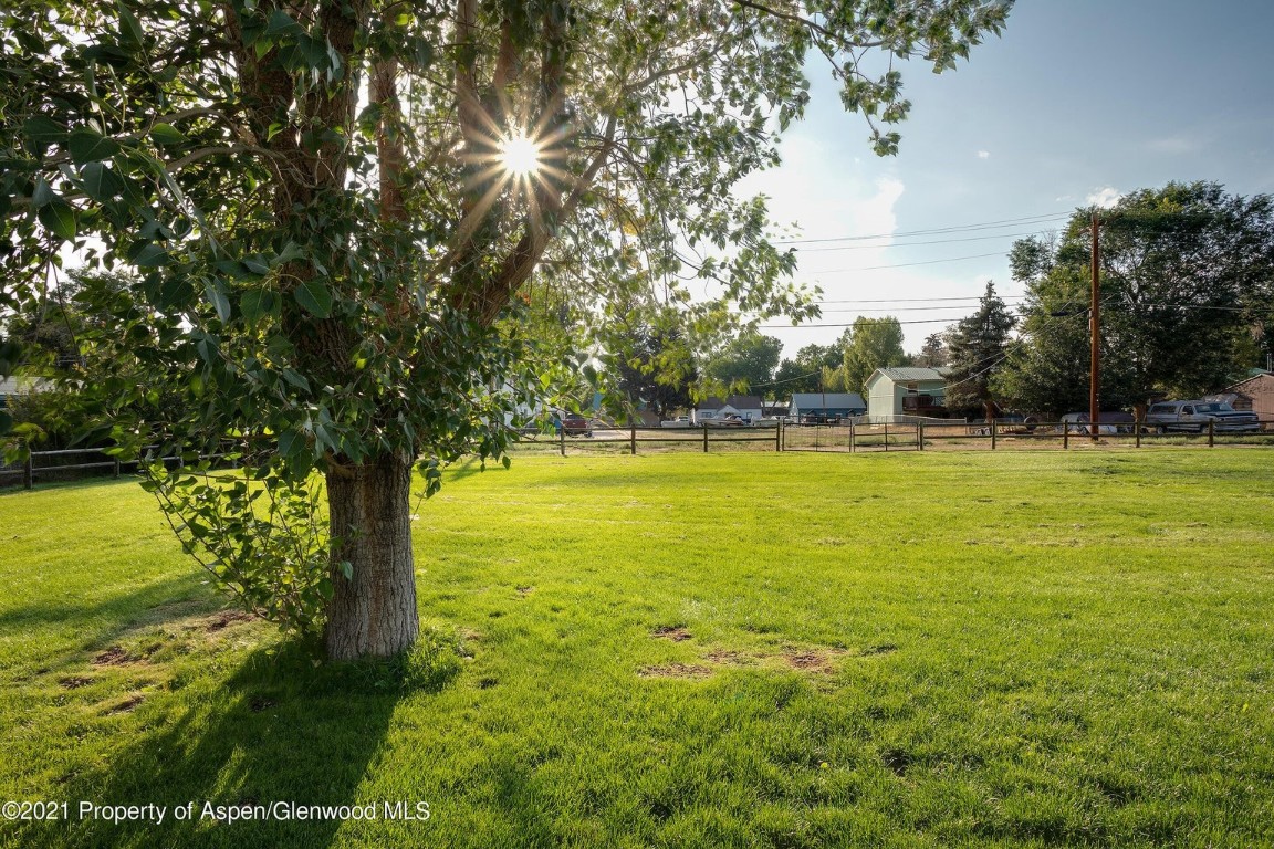 0 Washington Street Craig, CO 81625 - Photo 4 of 12 a view of a large yard with plants and large trees