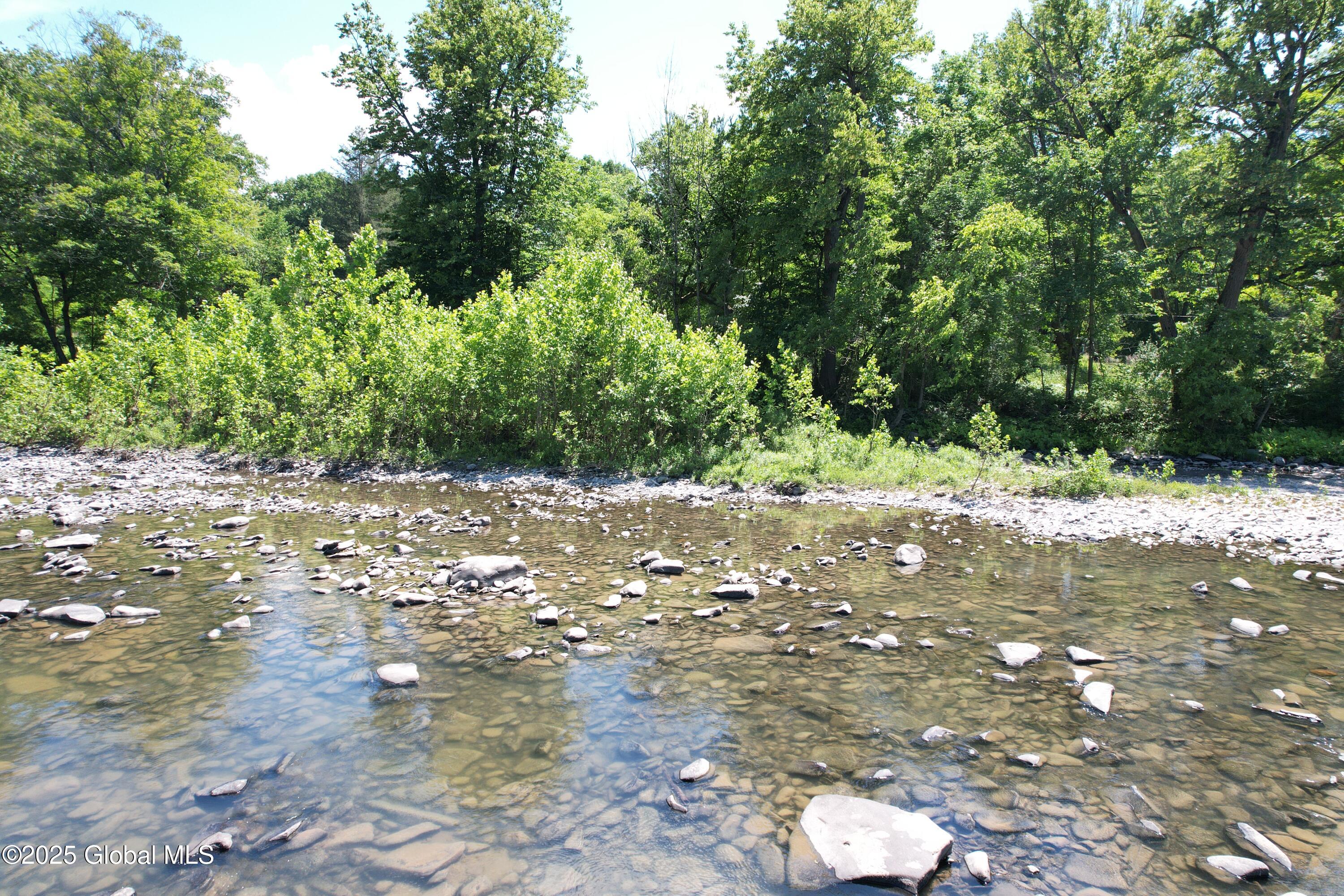 Lot 48 Priddle Road Esperance, NY 12066 - Photo 12 of 19 11
