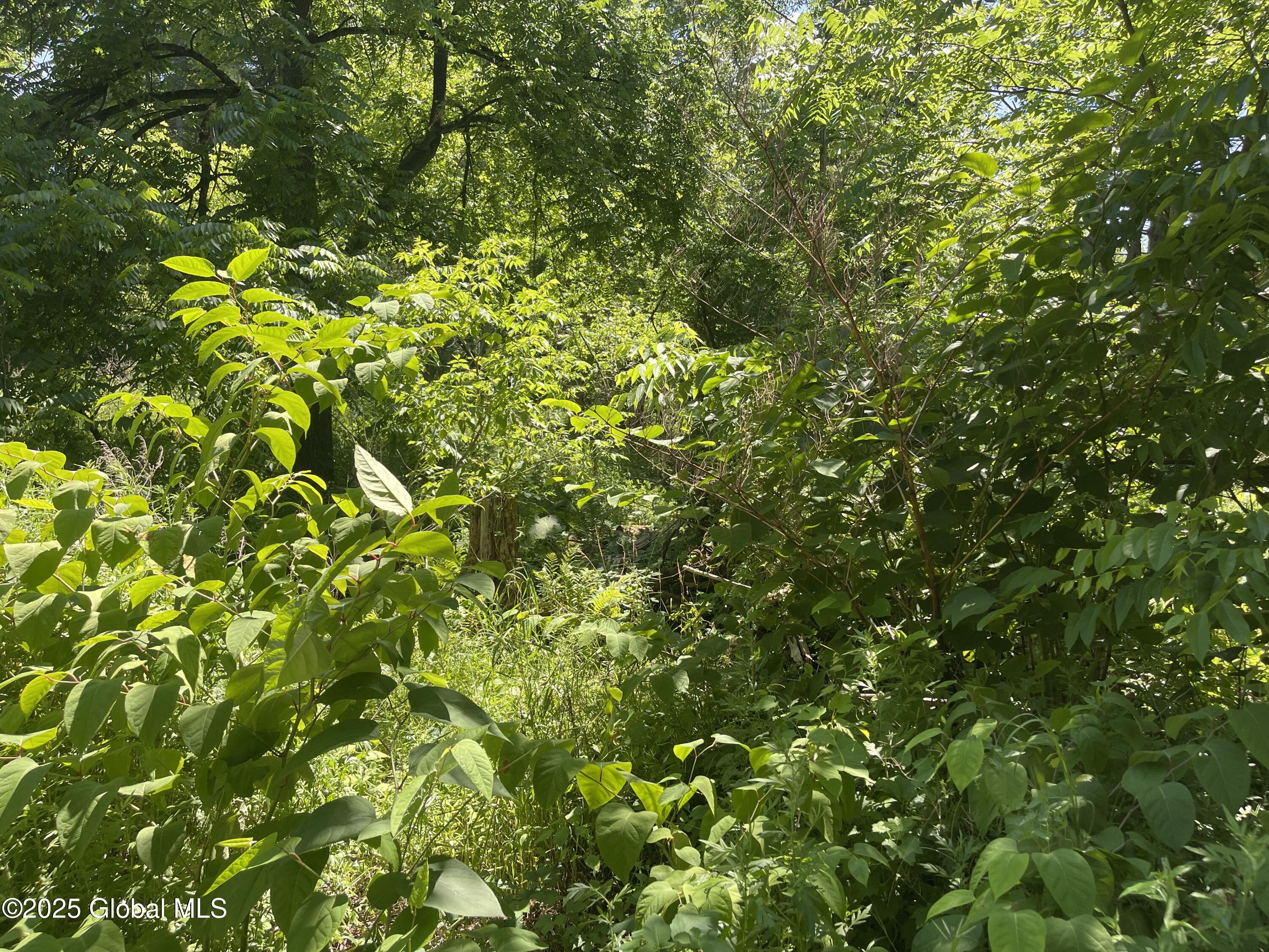 Lot 48 Priddle Road Esperance, NY 12066 - Photo 18 of 19 17