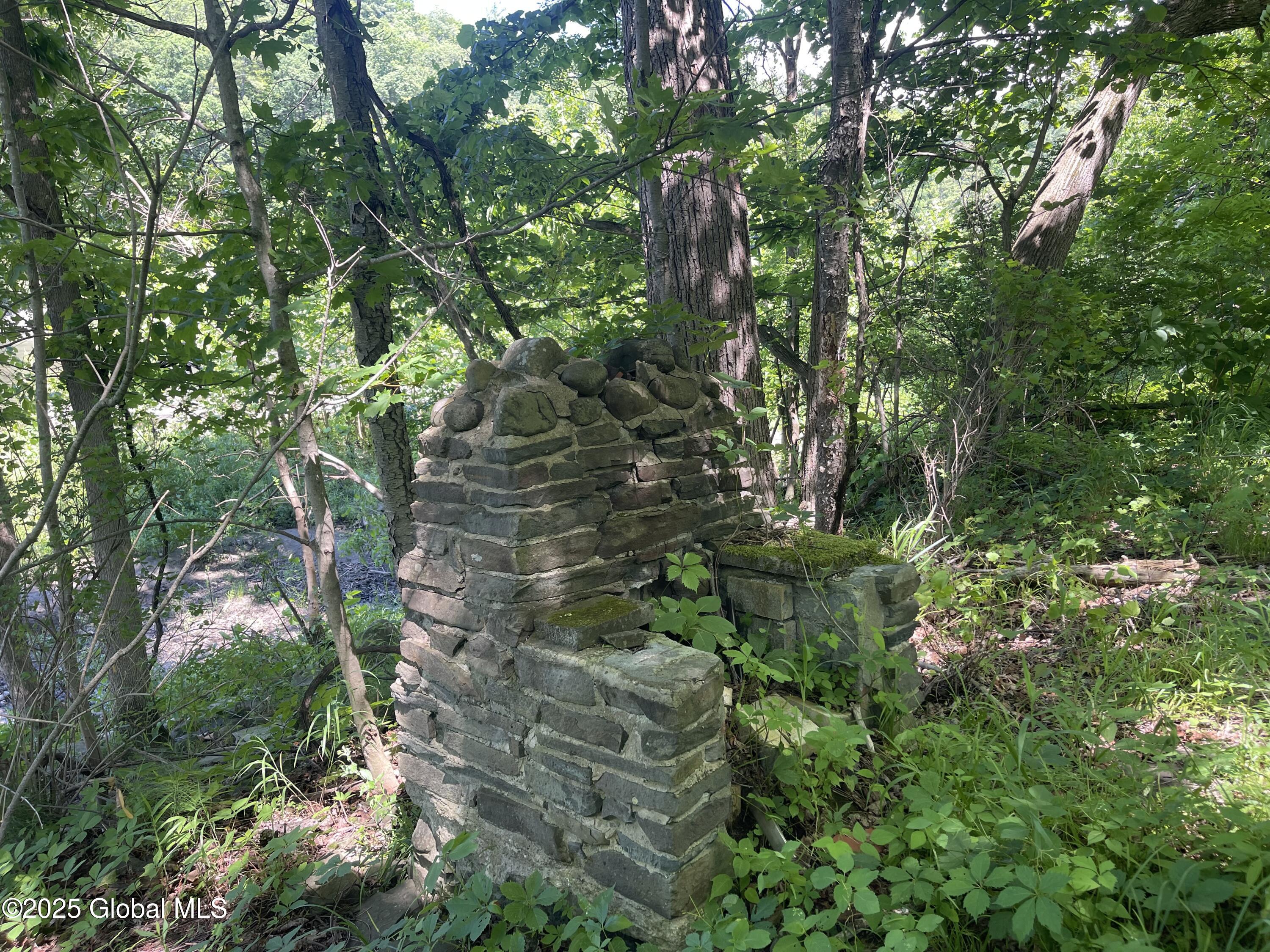 Lot 48 Priddle Road Esperance, NY 12066 - Photo 4 of 19 3