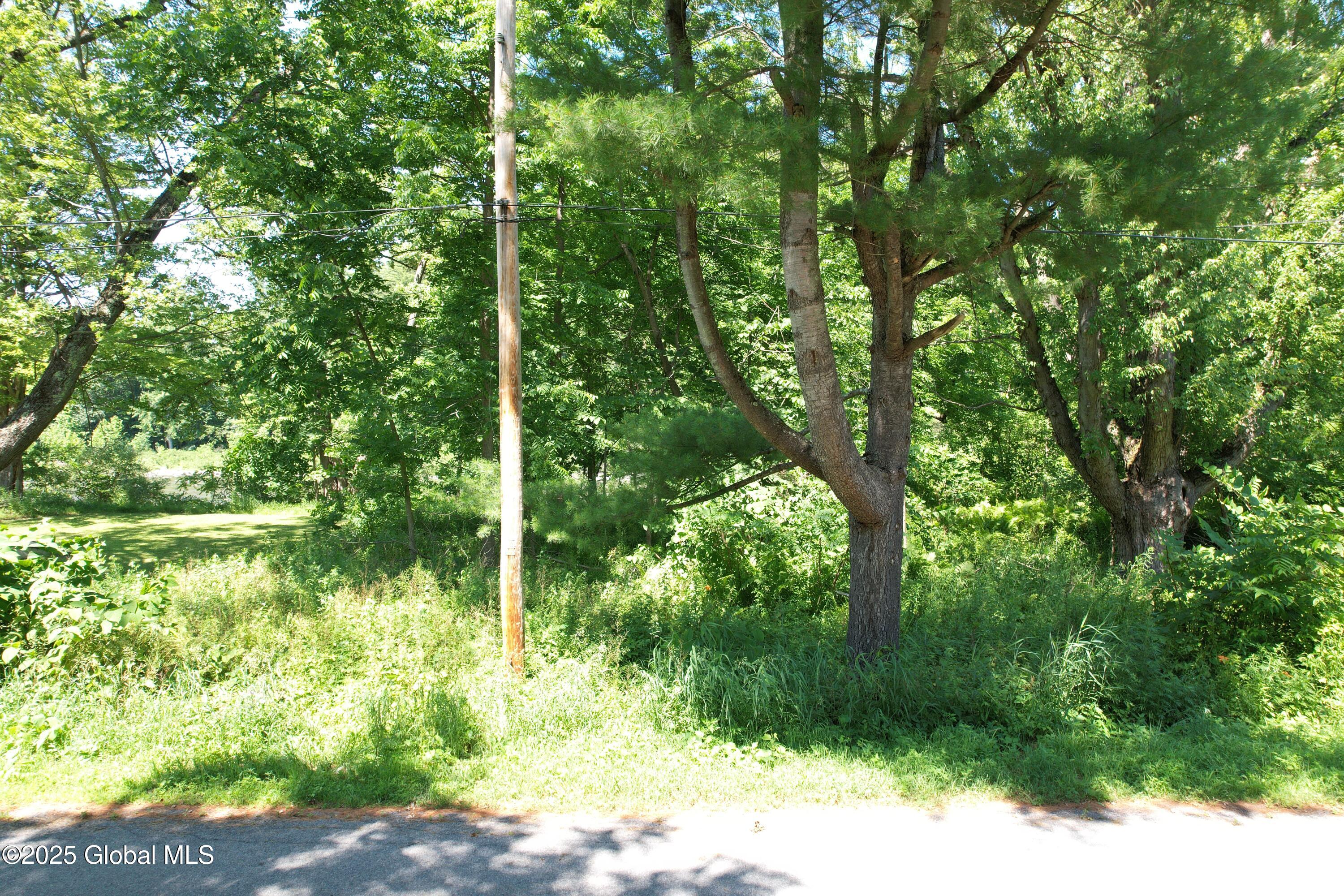 Lot 48 Priddle Road Esperance, NY 12066 - Photo 6 of 19 5