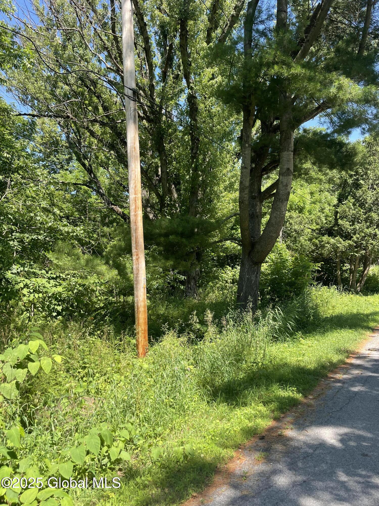 Lot 48 Priddle Road Esperance, NY 12066 - Photo 7 of 19 6