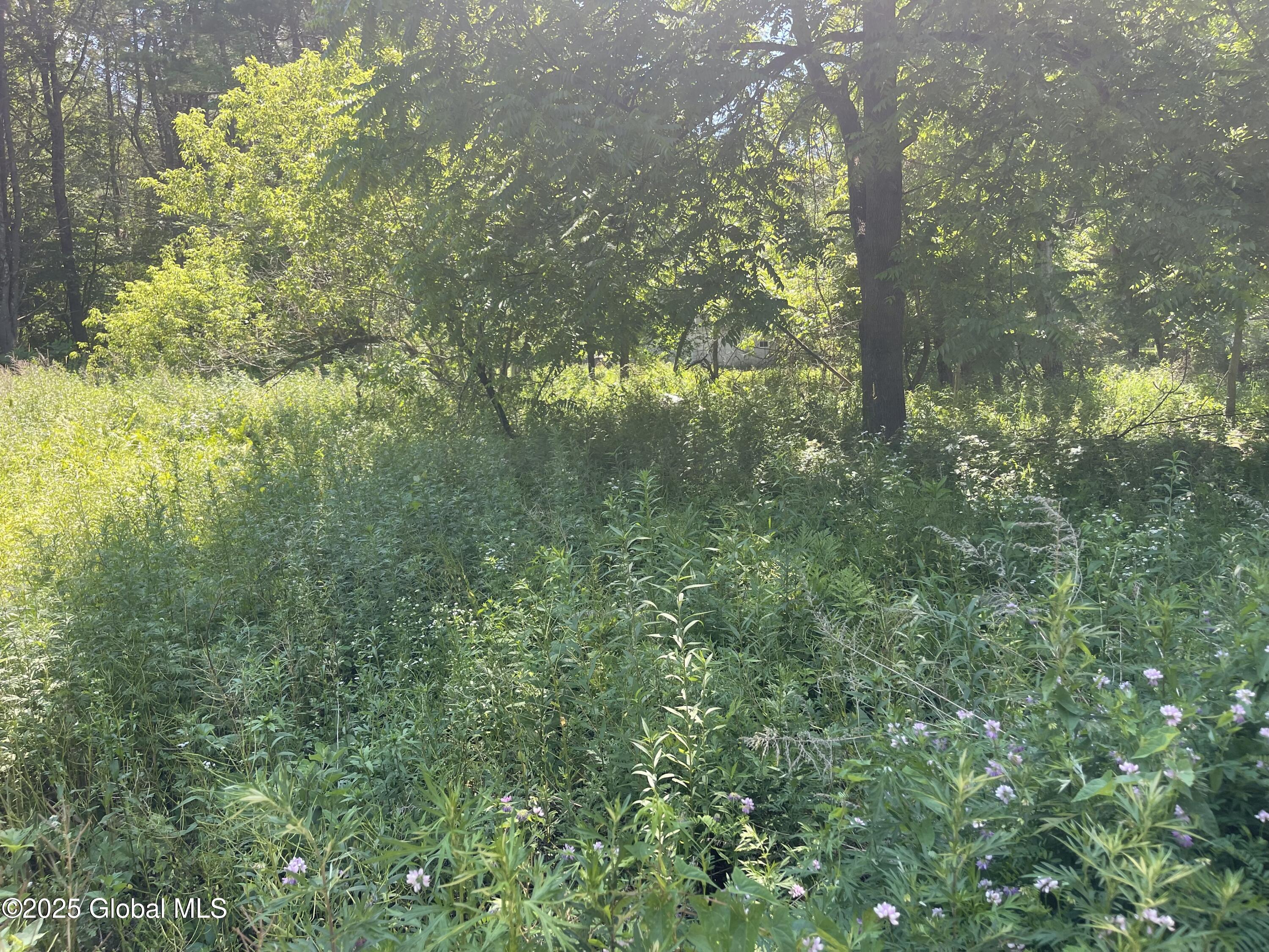 Lot 48 Priddle Road Esperance, NY 12066 - Photo 9 of 19 8