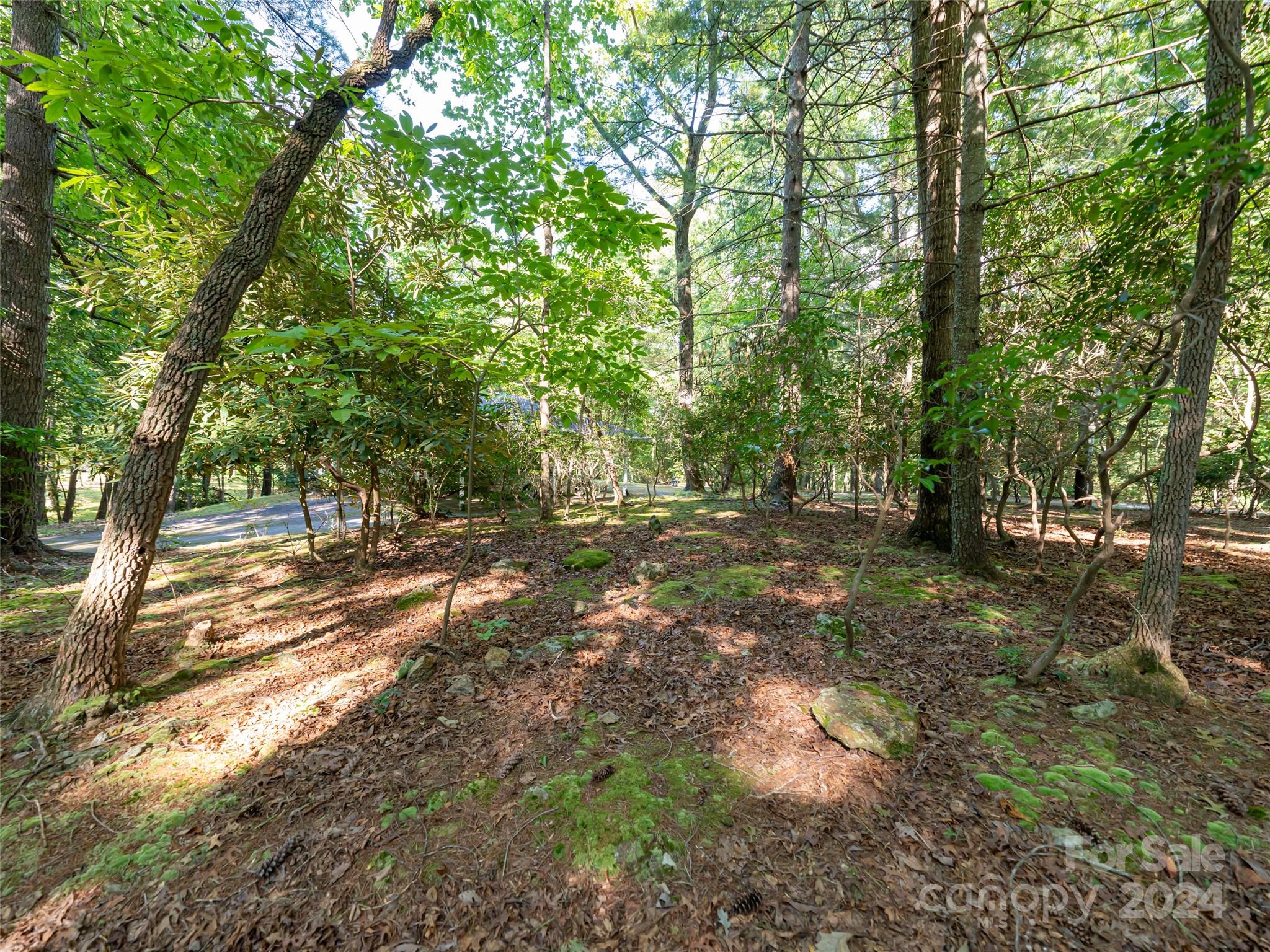 220 Ledbetter Road Arden, NC 28704 - Photo 29 of 33 Gallery Image 29