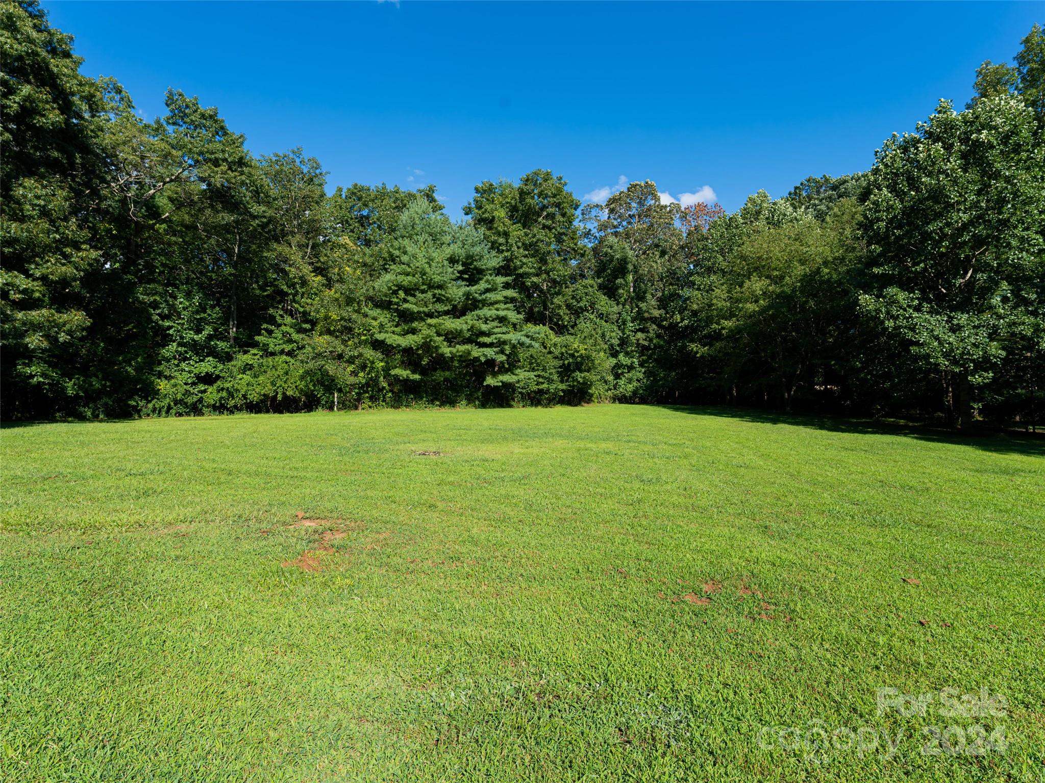 220 Ledbetter Road Arden, NC 28704 - Photo 8 of 33 Gallery Image 8