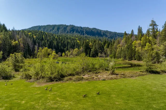 a view of a garden with mountain