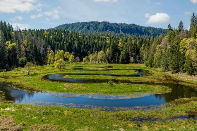 a view of a golf course