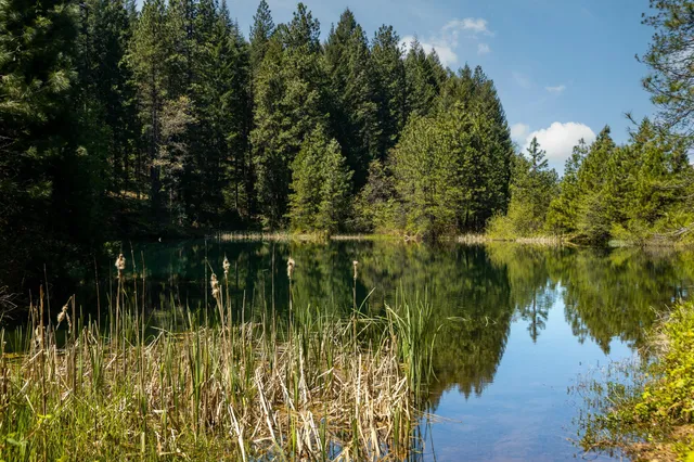 a view of a dry yard