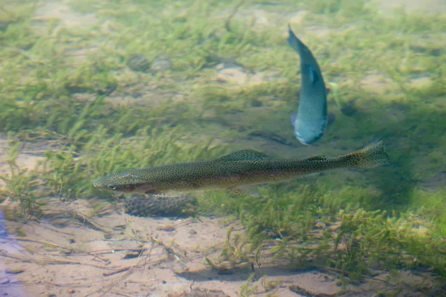a view of lake from yard