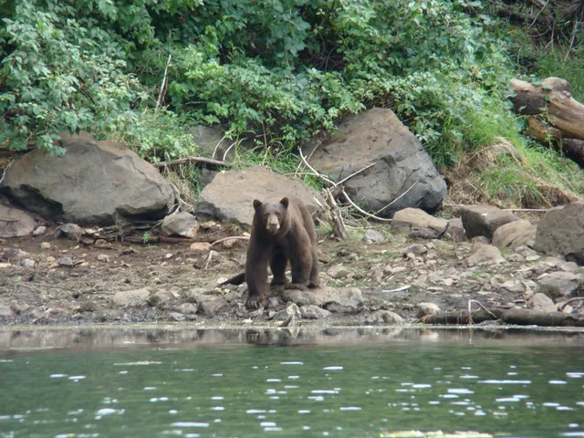 a view of a lake with huge green field