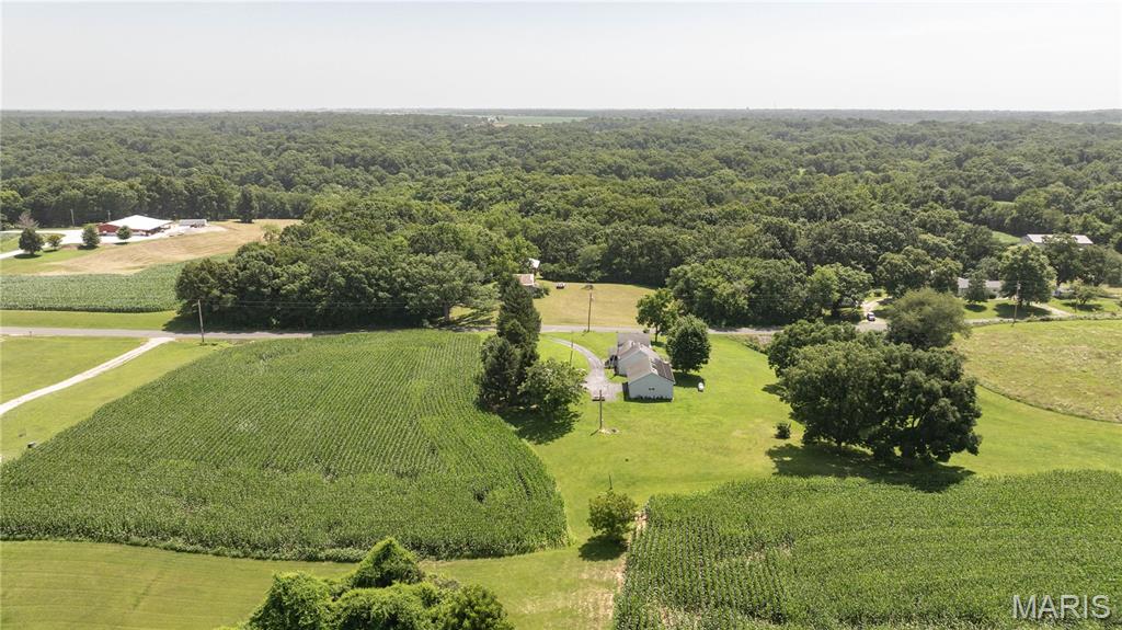 18907 Grange Hall Road Brighton, IL 62012 - Photo 10 of 47