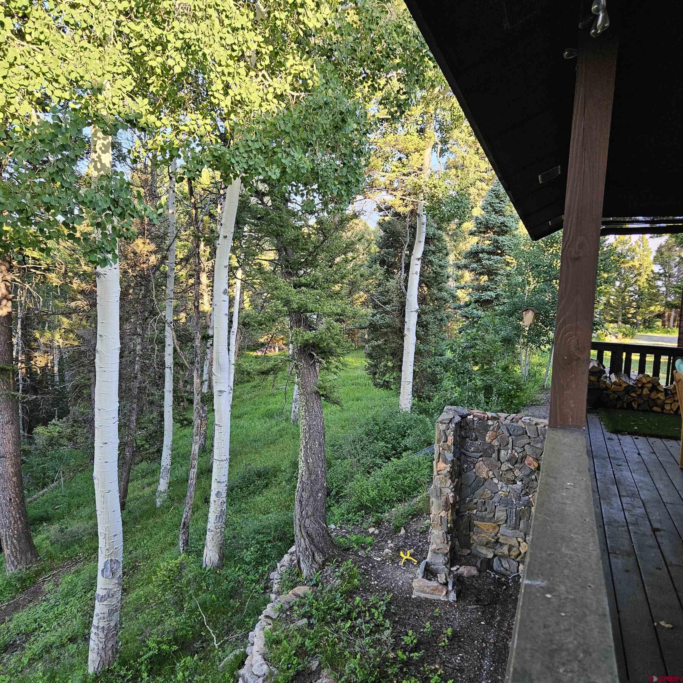 220 Ridge Road Cimarron, CO 81220 - Photo 26 of 45 a view of a backyard with garden