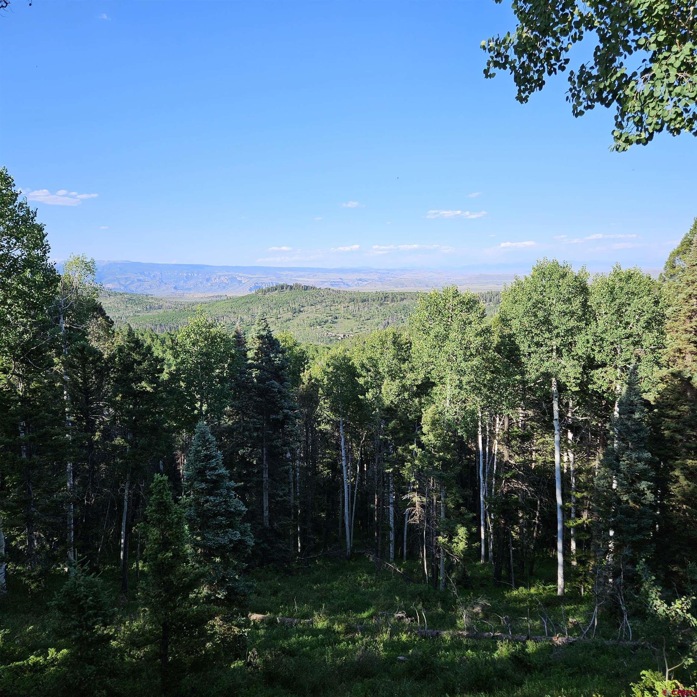 220 Ridge Road Cimarron, CO 81220 - Photo 29 of 45