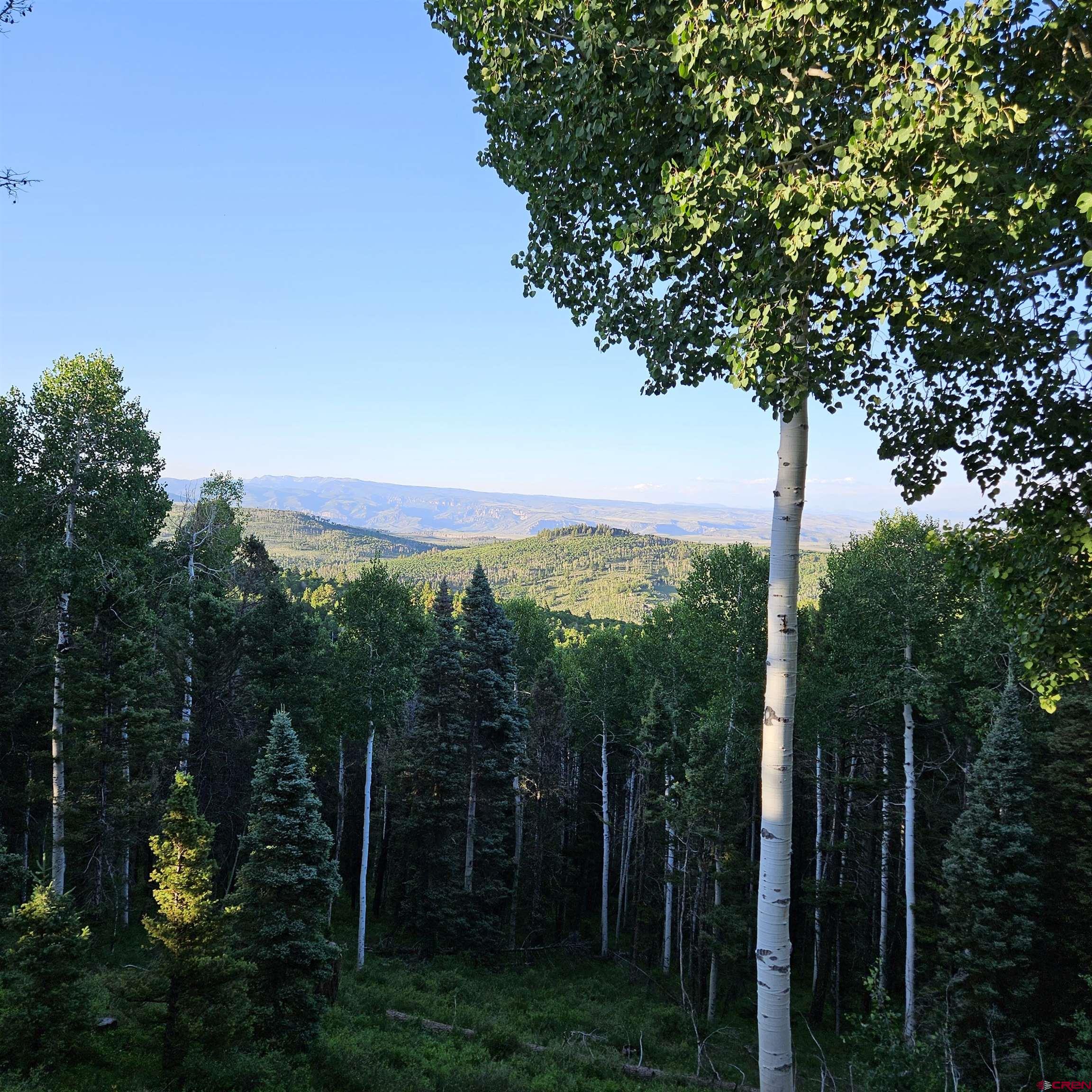 220 Ridge Road Cimarron, CO 81220 - Photo 30 of 45 a view of a city with lush green forest