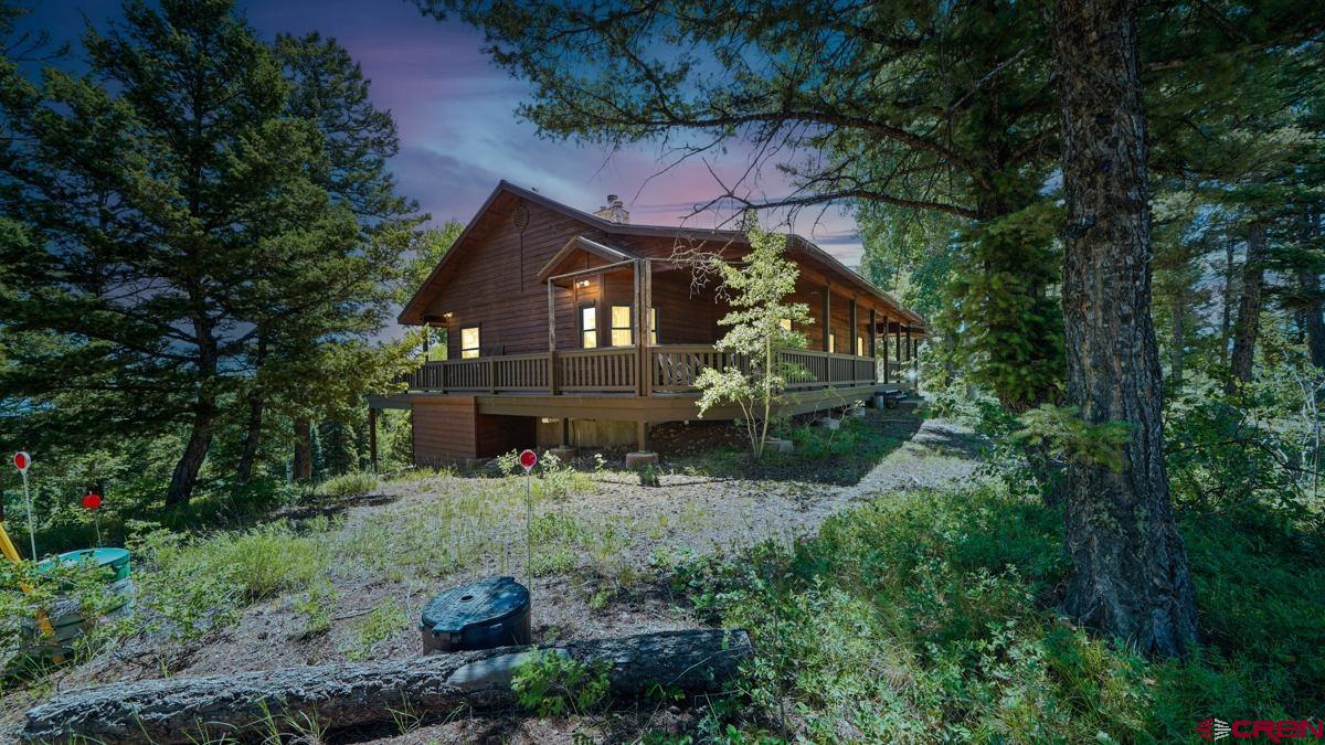 220 Ridge Road Cimarron, CO 81220 - Photo 44 of 45 a view of a house with a yard and tree s