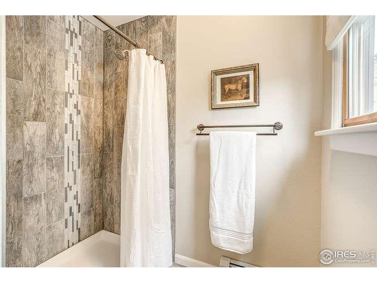 6085 Spring Glade Road Loveland, CO 80538 - Photo 19 of 40 Primary shower