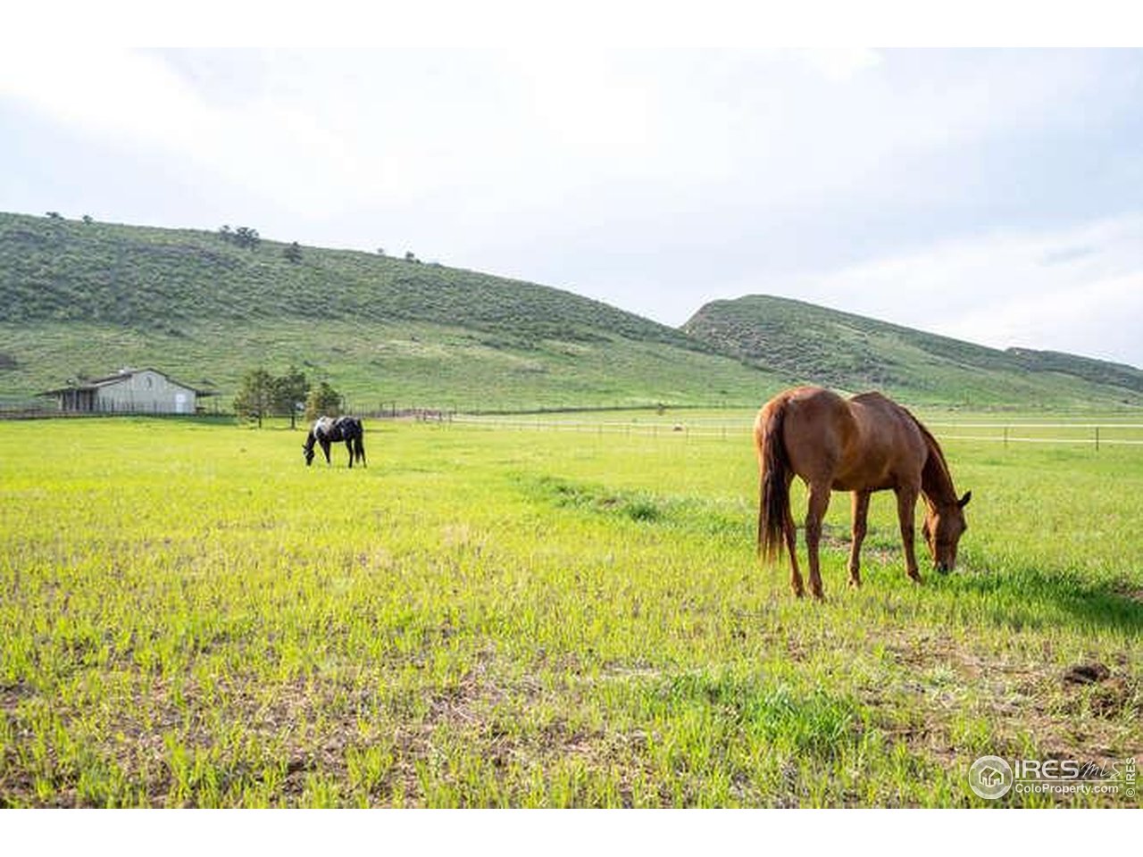 6085 Spring Glade Road Loveland, CO 80538 - Photo 36 of 40