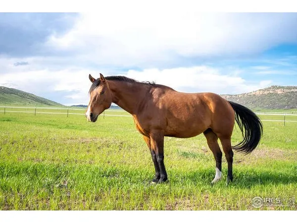 $1,800,000 | 6085 Spring Glade Road, Loveland, CO 80538