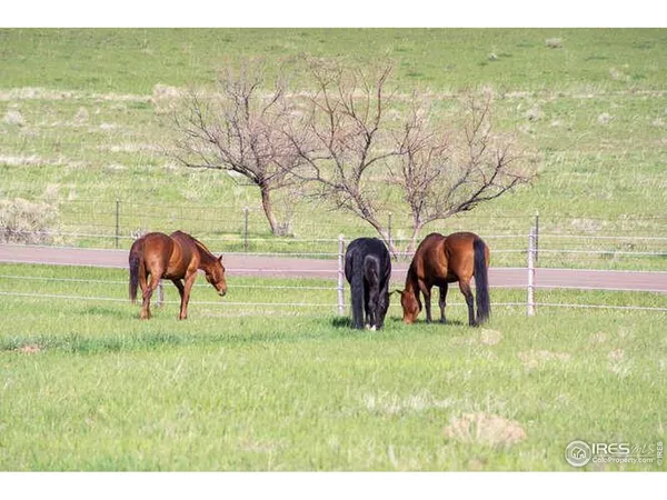 $1,800,000 | 6085 Spring Glade Road, Loveland, CO 80538