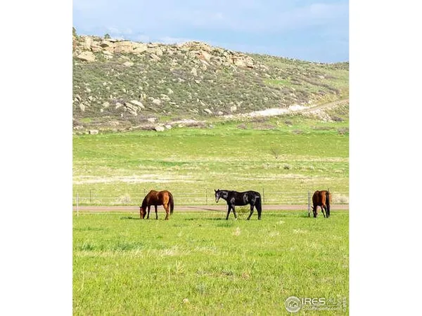 $1,800,000 | 6085 Spring Glade Road, Loveland, CO 80538