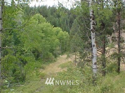 -xxx Turtle Run Road Tonasket, WA 98855 - Photo 1 of 1 a view of a forest with a tree