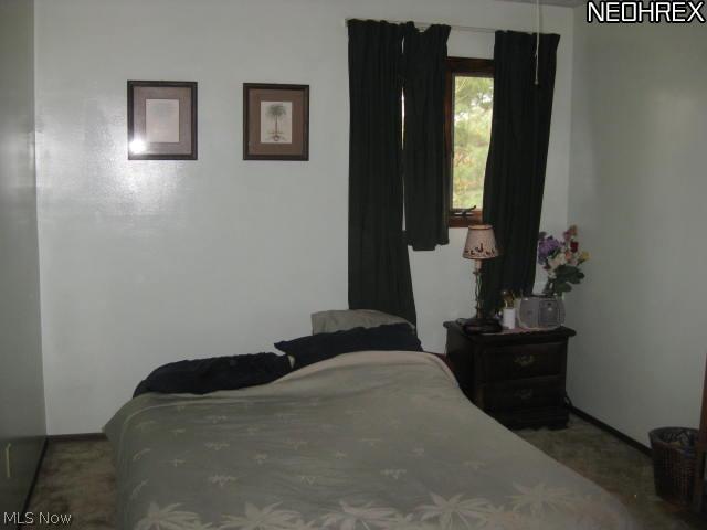 6690 Carsten Road Medina, OH 44256 - Photo 14 of 21 Gallery Image 14