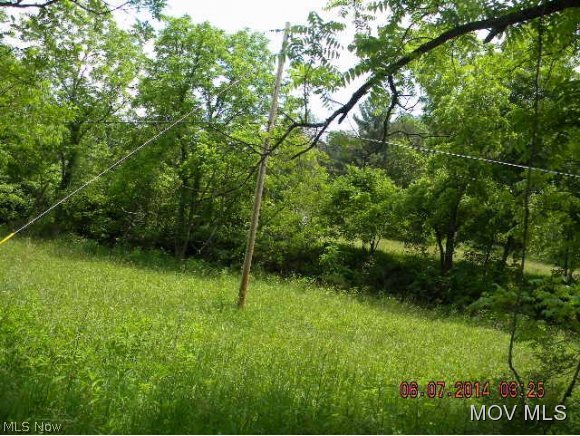 1779 Woodyard Creek Road Washington, WV 26181 - Photo 2 of 2