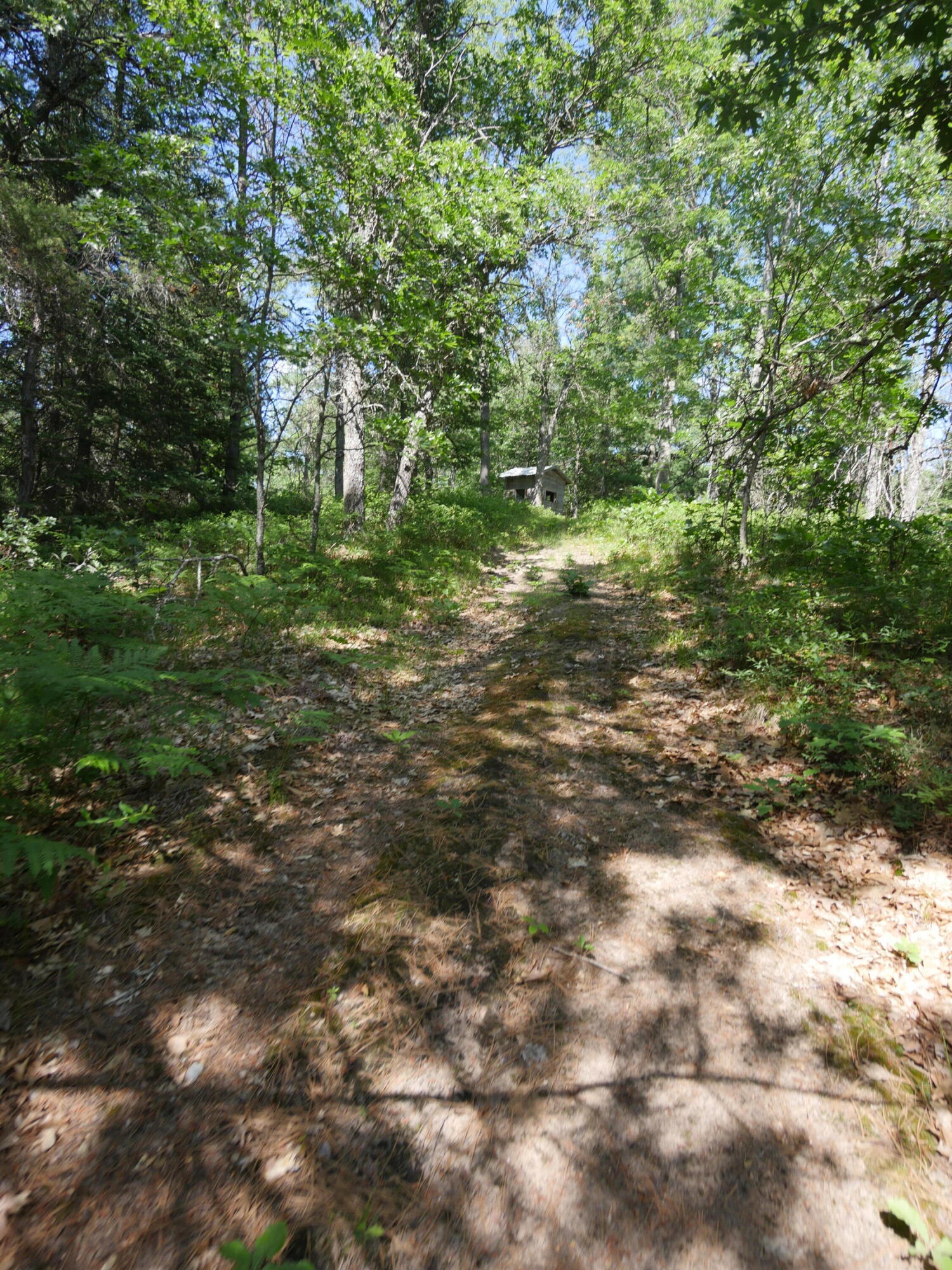 21035 Porcupine Road Hillman, MI 49746 - Photo 19 of 32 Gallery Image 19