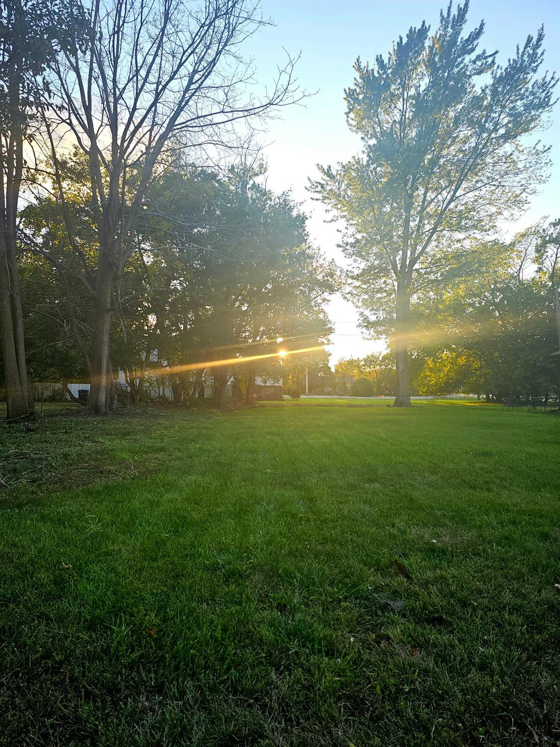 a view of yard with green space