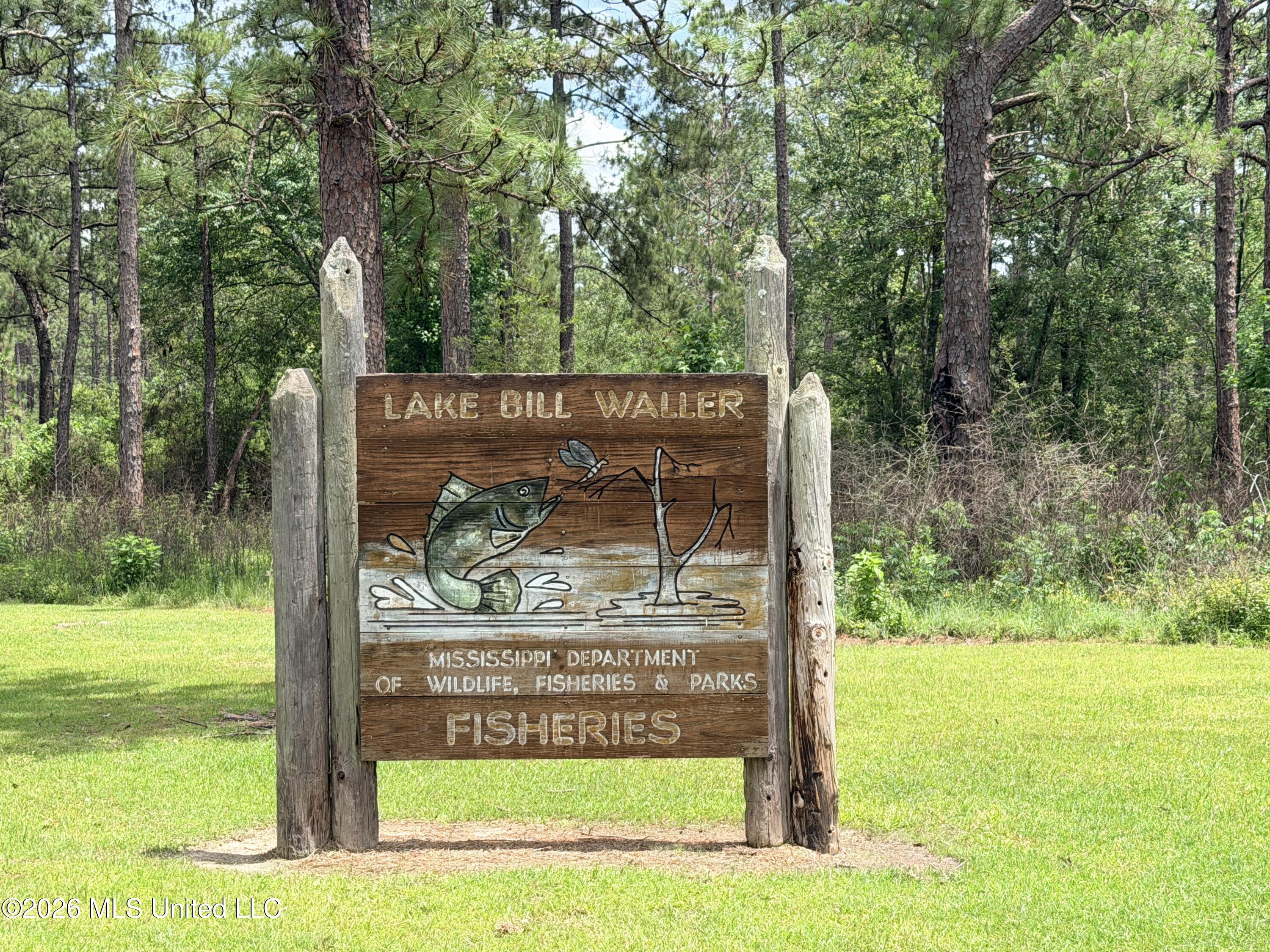 78 Game Reserve Road Columbia, MS 39429 - Photo 28 of 30 IMG_4011 (1)