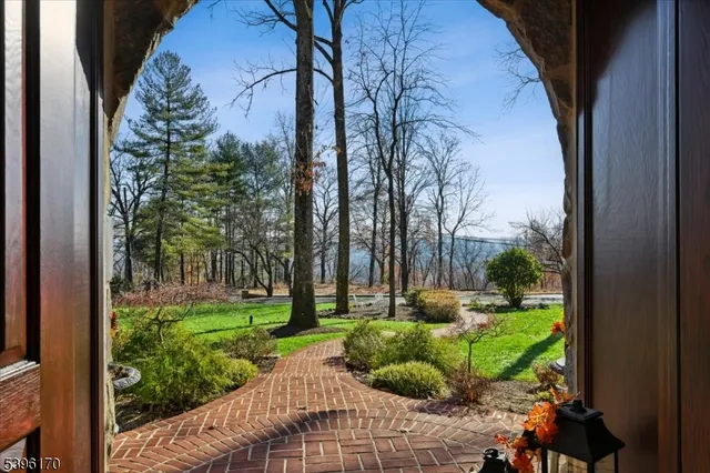a view of backyard with plants and trees