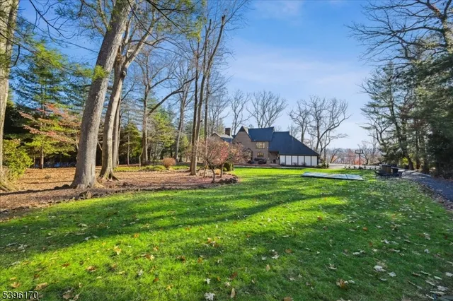 a view of a park with large trees