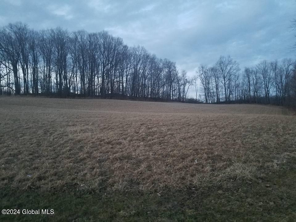 34 Button Road Pittstown, NY 12180 - Photo 26 of 31 26