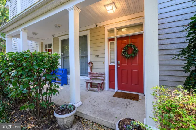 a potted plant in front of a door