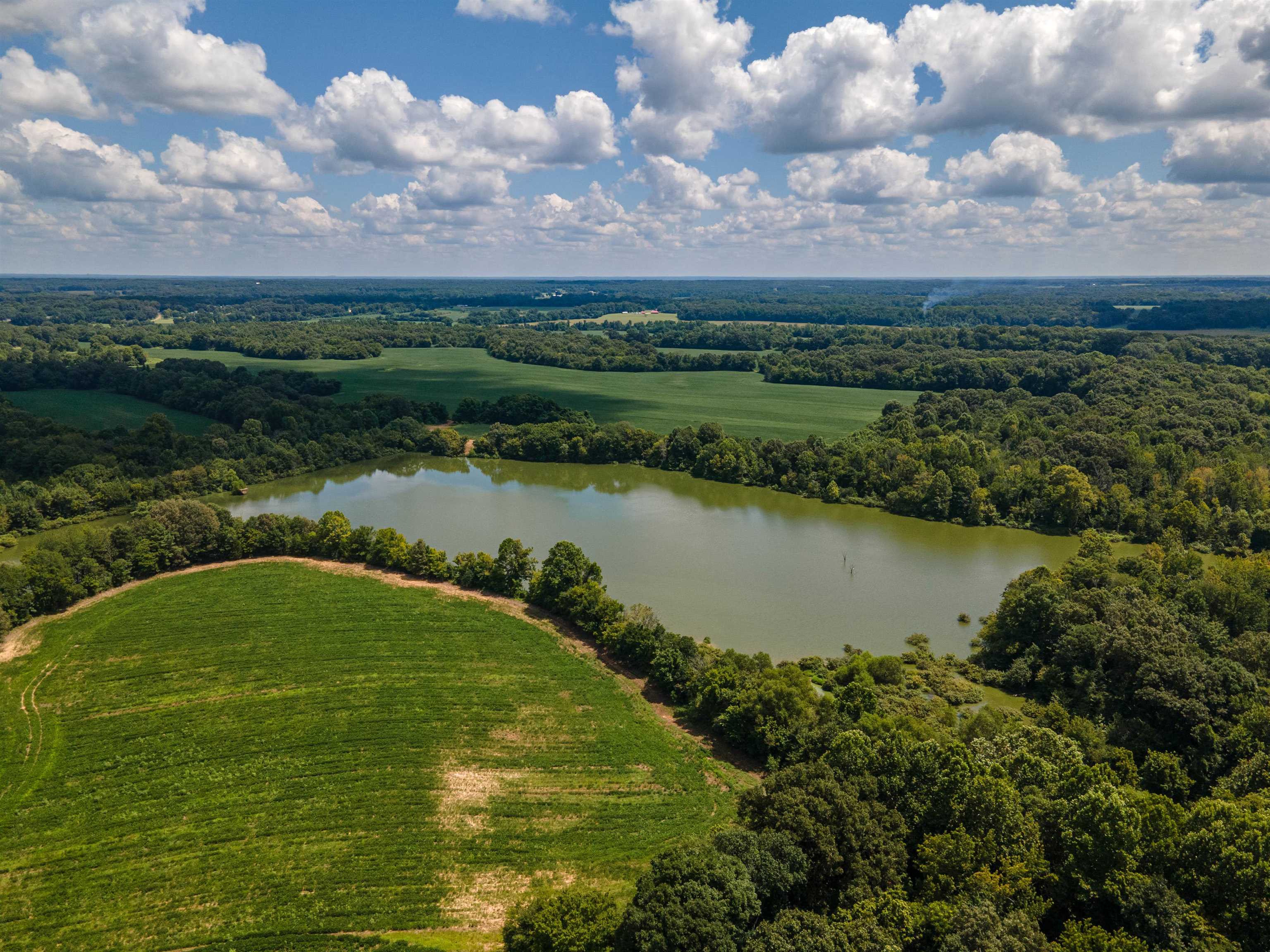 Old Jackson Road Somerville, TN 38068 - Photo 6 of 7 Gallery Image 6