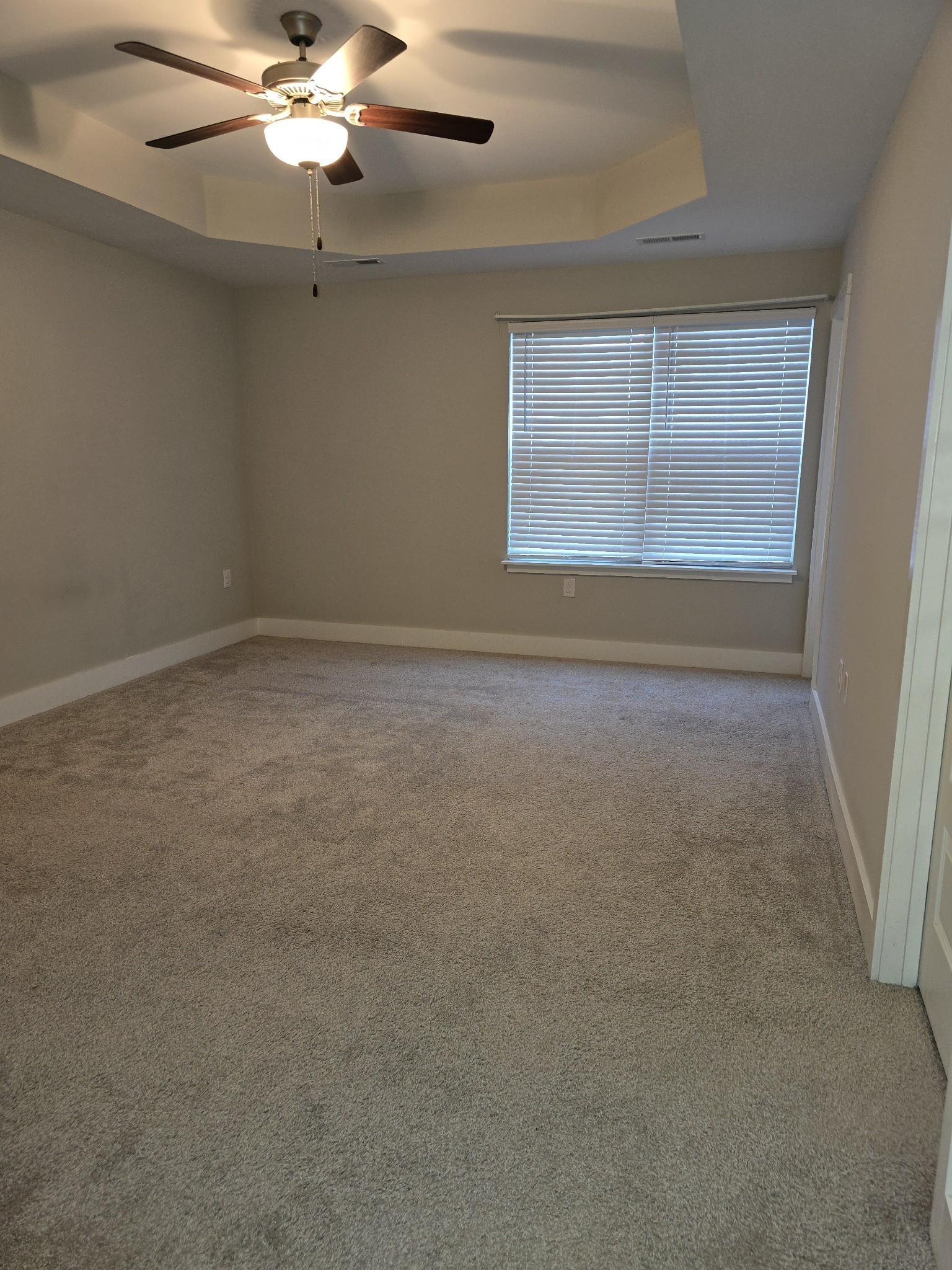 6008 Hillside Lane Spring Hill, TN 37174 - Photo 29 of 32 en empty room with windows and chandelier fan