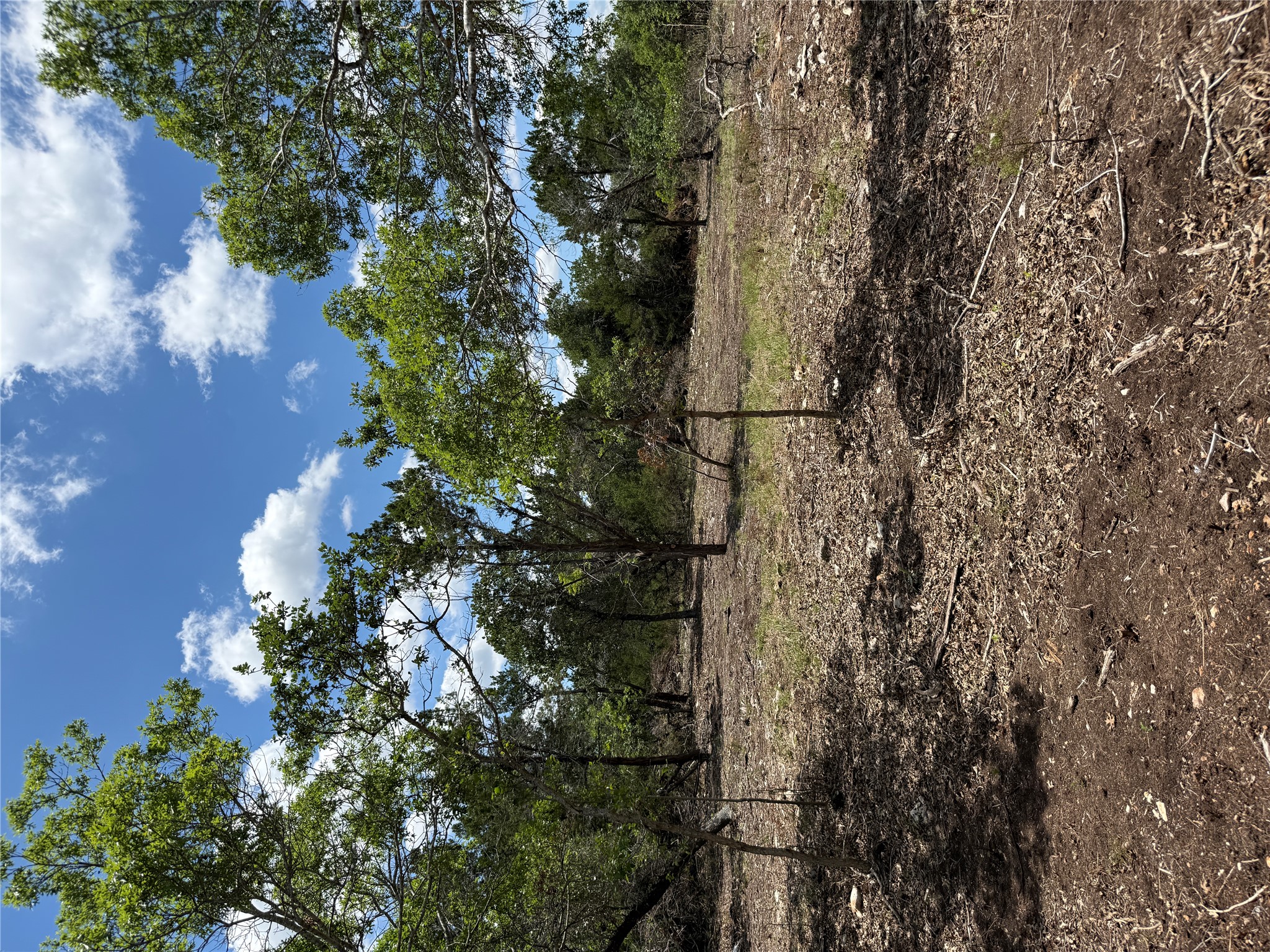 -altwein Rd 17.91 Acres Altwein Road Blanco, TX 78606 - Photo 32 of 33 a view of a outdoor space