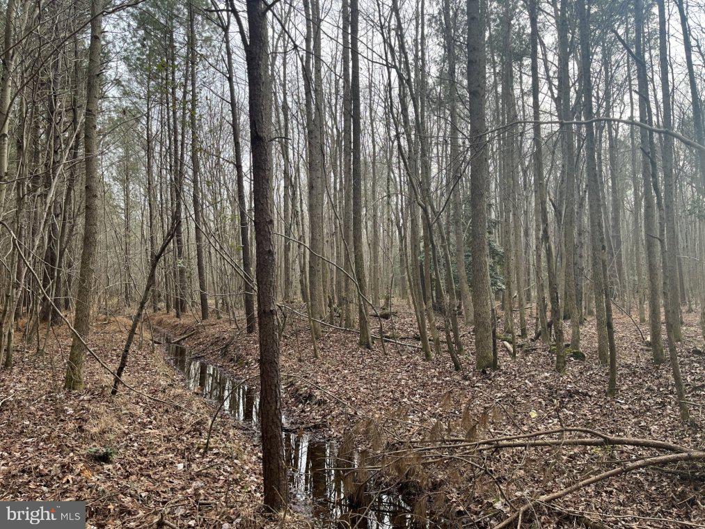 0 Athol Road Mardela Springs, MD 21837 - Photo 3 of 8