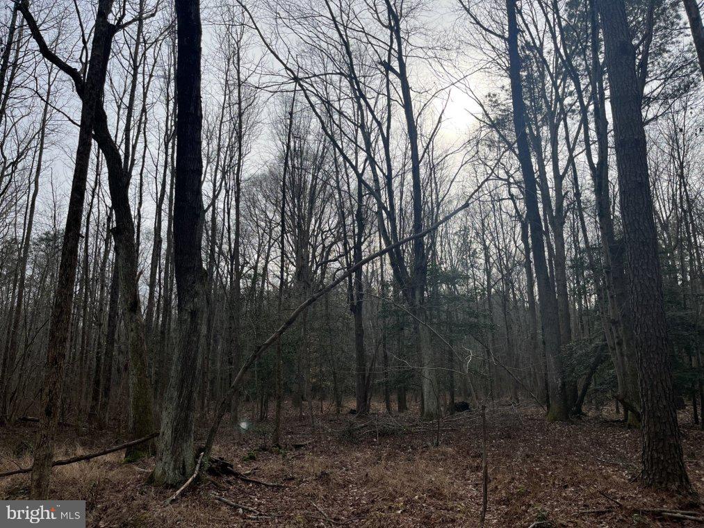 0 Athol Road Mardela Springs, MD 21837 - Photo 5 of 8