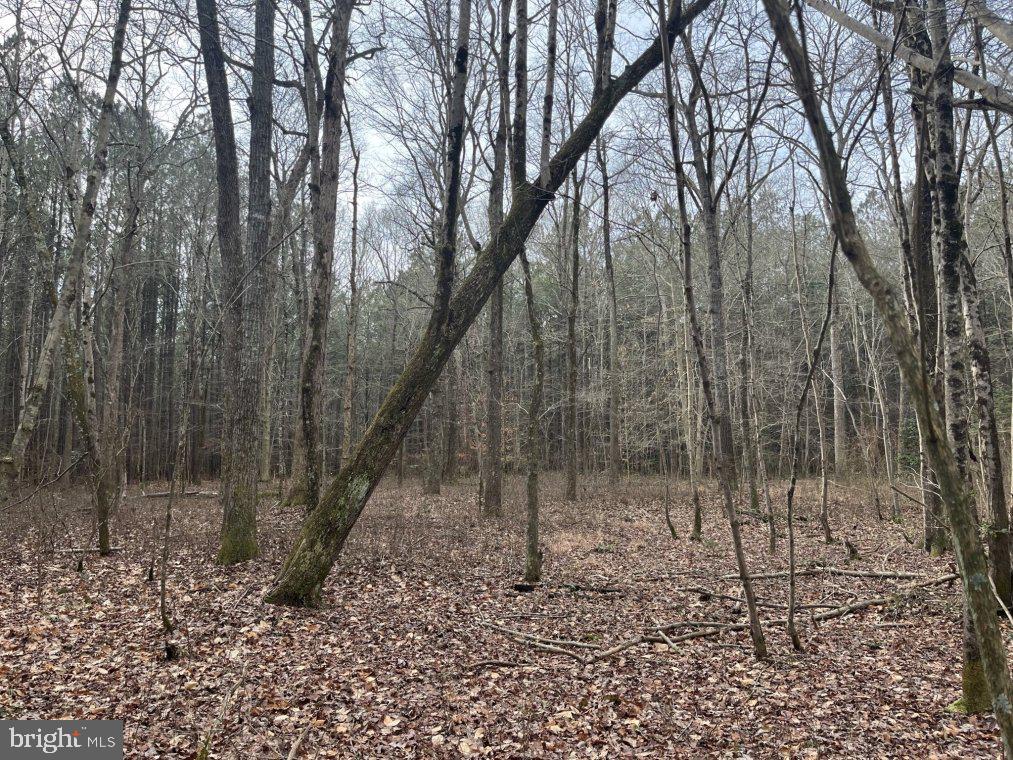 0 Athol Road Mardela Springs, MD 21837 - Photo 6 of 8