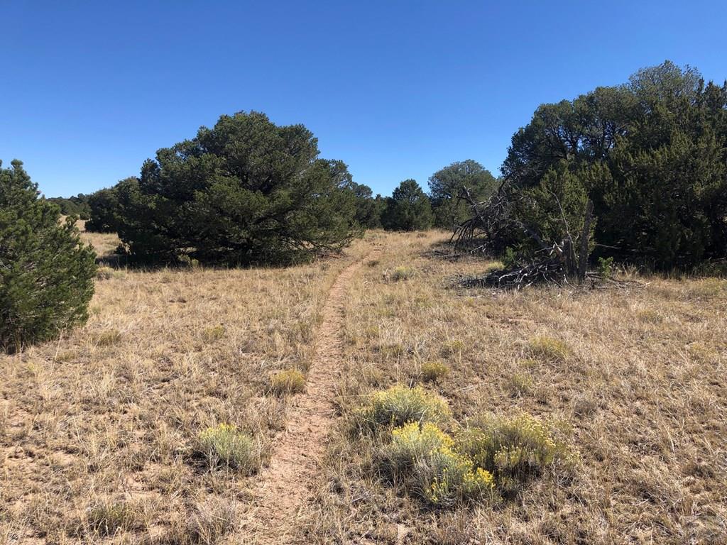 Lot 64 River Ridge Trail La Veta, CO 81055 - Photo 28 of 29