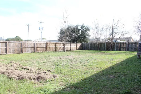 a view of garden with trees