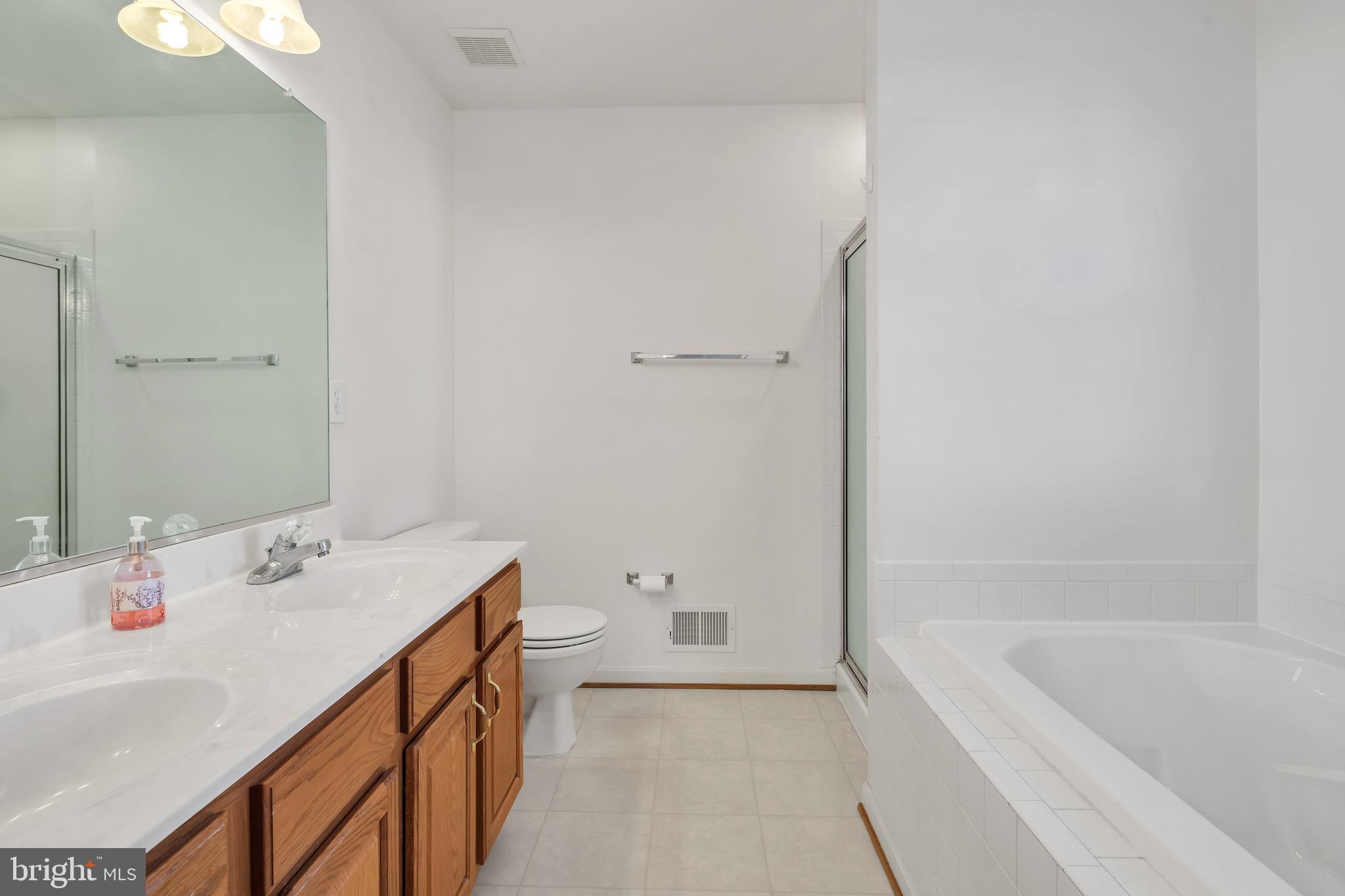 4301 Ferry Hill Court Point of Rocks, MD 21777 - Photo 13 of 36 Master Bath with separate spa soaking tub