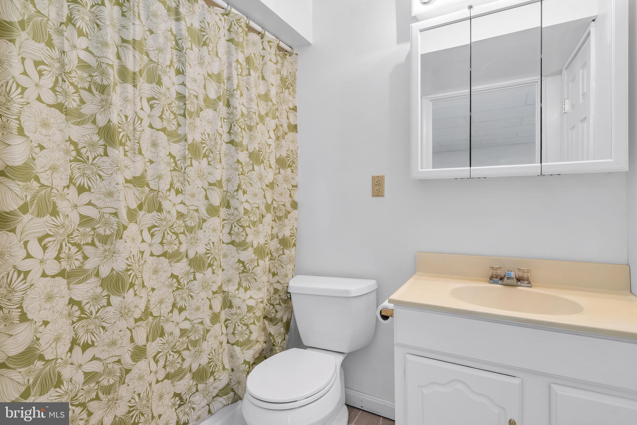 4301 Ferry Hill Court Point of Rocks, MD 21777 - Photo 23 of 36 Lower level full bathroom