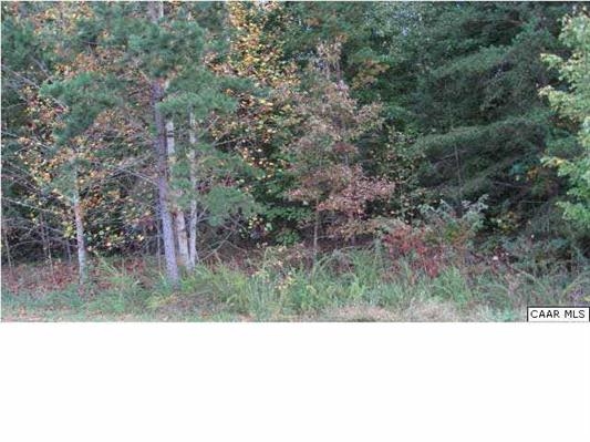 23 Haversack Road Palmyra, VA 22963 - Photo 1 of 1 a black and white photo of a forest