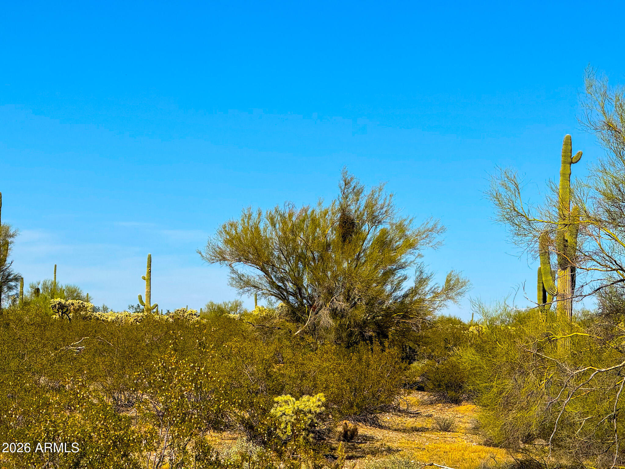 0 East Annadale Road Marana, AZ 85658 - Photo 5 of 15 IMG_3576