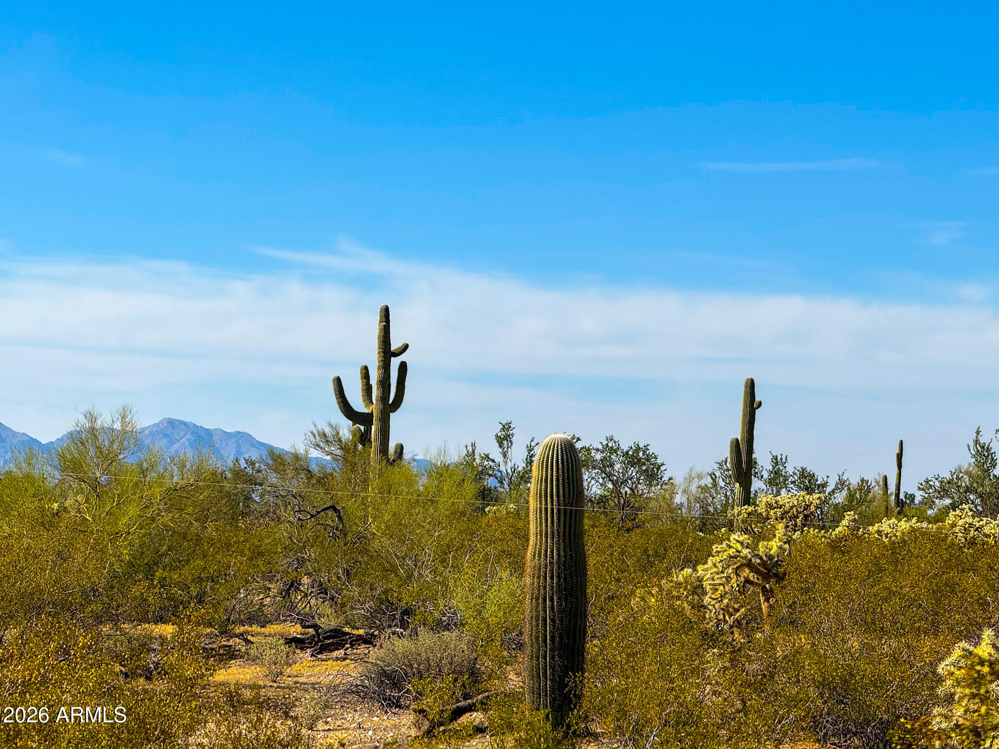 0 East Annadale Road Marana, AZ 85658 - Photo 6 of 15 IMG_3578