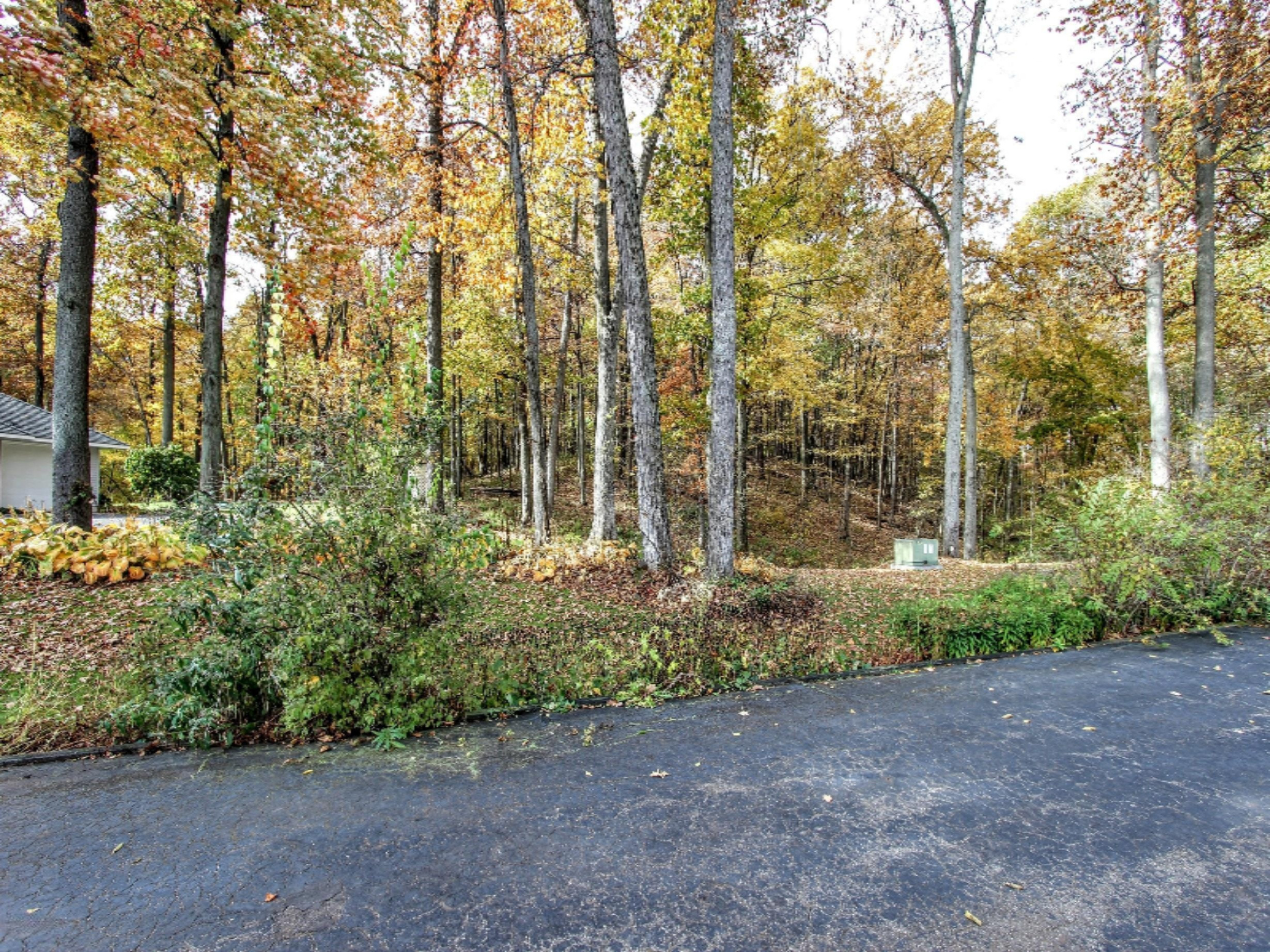 11505 Cascade Road Southeast Lowell, MI 49331 - Photo 44 of 46 50