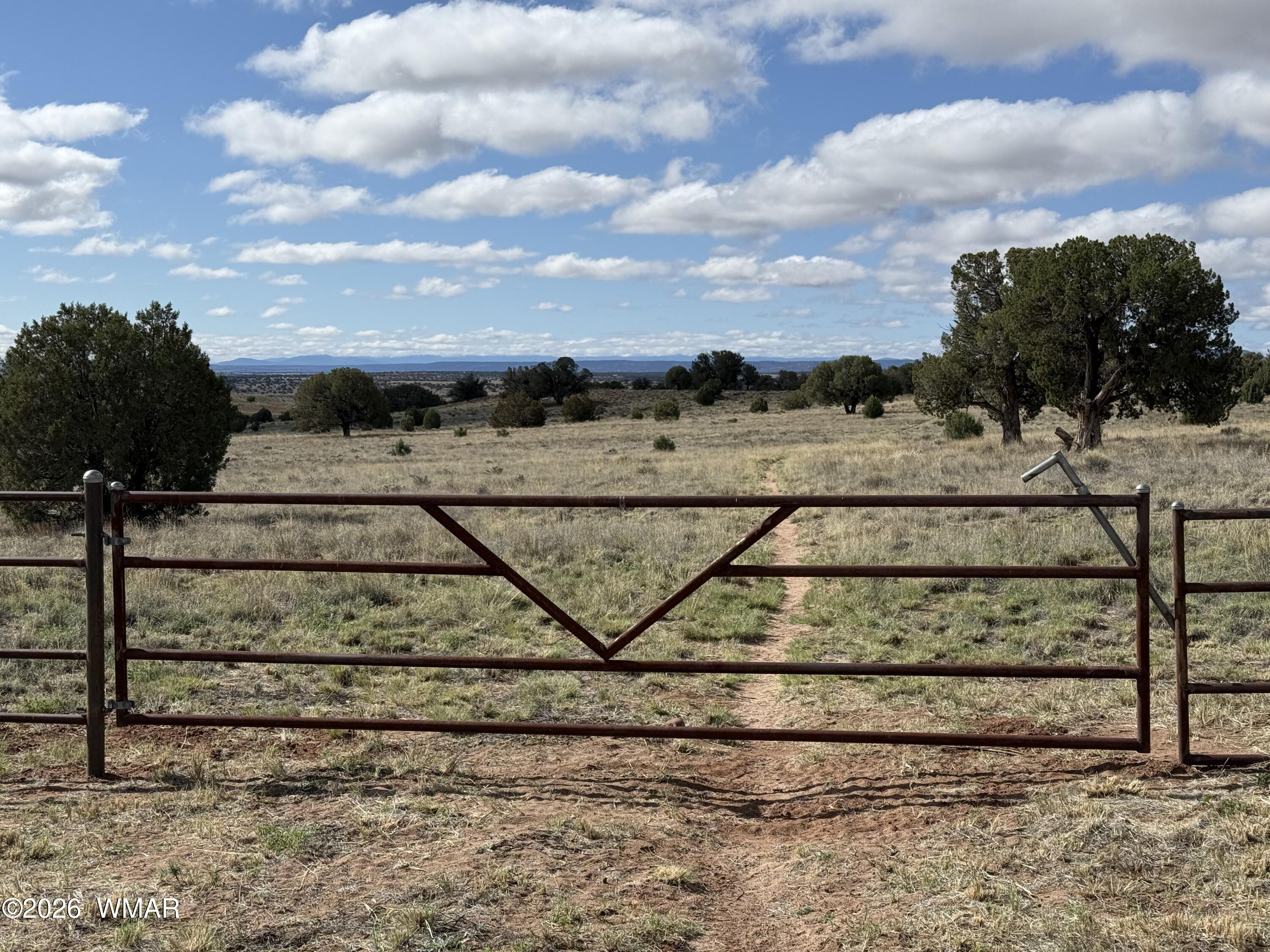 228 County Road Concho, AZ 85924 - Photo 3 of 19 02